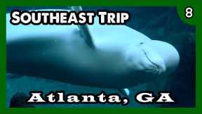 Southeast Trip Part 8: Atlanta GA, Georgia Aquarium, Waffles & Waffles, The Varsity - ParoDeeJay