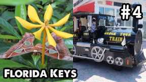 Florida Keys Pt.4: Key West Butterfly & Nature Conservatory, Conch Train Trolley Tour - ParoDeeJay