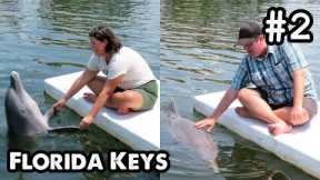 Florida Keys Pt.2: Dolphin Research Center, Behind The Scenes Tour, Training Session - ParoDeeJay