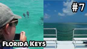 Florida Keys Pt.7: Barefoot Billy's Watersports, Dolphin Watch & Snorkel Tour, Key West - ParoDeeJay