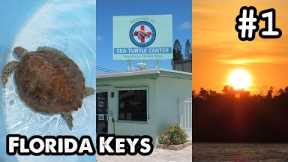 Florida Keys Pt.1: Turtle Hospital, Faro Blanco Resort, Sombrero Beach, Marathon Key - ParoDeeJay