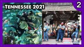 Tennessee 2021 Pt.2: Ripley's Aquarium Of The Smokies, Gatlinburg, Corndog, Moonshine - ParoDeeJay