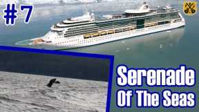 Serenade Of The Seas Pt.7: Juneau, Whale Watching With Harv & Marv's Outback Alaska - ParoDeeJay