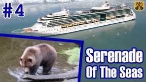 Serenade Of The Seas Pt.4: Sitka Wildlife Tours, Fortress Of The Bear, Raptor Center - ParoDeeJay