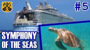 Symphony Of The Seas Pt.5: St. Thomas, Water Island, Turtle Jackpot, Dinghy's Beach Bar - ParoDeeJay