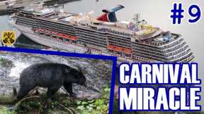 Carnival Miracle Pt.9: Ketchikan, Kawanti Adventures, Black Bear & Wildlife Exploration - ParoDeeJay