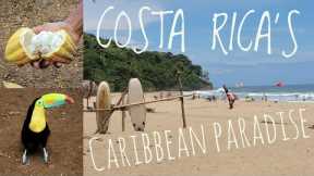 Caribbean Puerto Viejo | Saving Animals and Eating Chocolate | Must See Costa Rica!