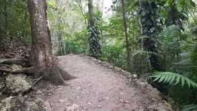 Jungle Walk 150 Yard Walk to Semuc Champey