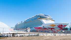 Norwegian Suspends 3 More Cruise Trips as Omicron Surges