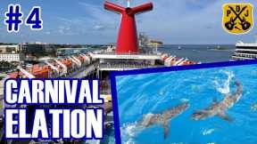 Carnival Elation Pt.4 - Freeport, Glass Bottom Boat w/Sharks, Playlist Concert, Debark - ParoDeeJay
