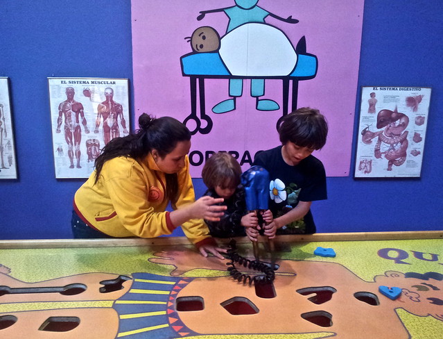 learning about the human body - kids museums