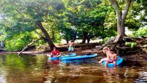 Birthday Treat: Mangrove Paddle Boarding (SUP Experience)