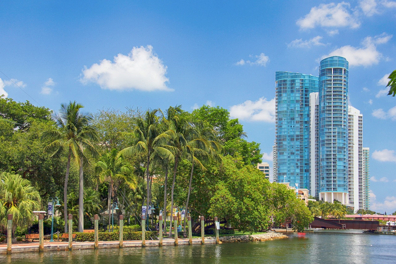 Trees and buildings in Fort Lauderdale, Florida
