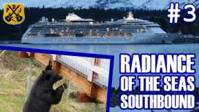 Radiance Of The Seas Southbound Pt.3 - Juneau, Mendenhall Glacier, Bridge-Eating Bear, Nugget Falls