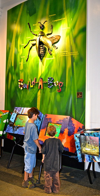 build a bug at Audubon Insectarium in new orleans