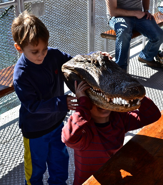 kid fun - swamp tours new orleans