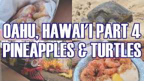Oahu Hawaii Pt.4 - Leonard's Bakery, Dole Plantation, Giovanni's Shrimp Truck, Laniakea Turtle Beach
