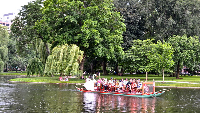 The swan boats of boston