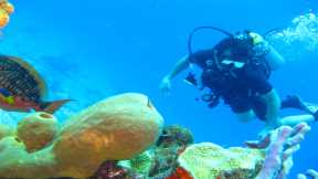 Top 7 Best Places to Scuba Dive in the US You Won’t Believe