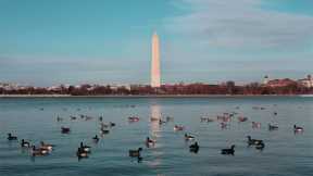 Tips for a Great Family Vacation in Washington DC