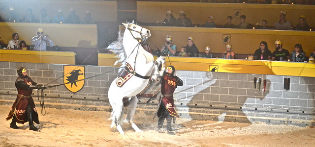 more horse shows at midieval times orlando fl 