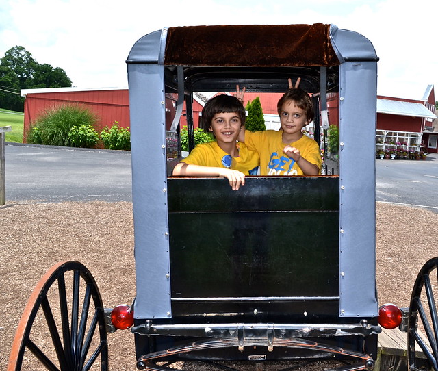 kids in a amish car in Lancaster County PA