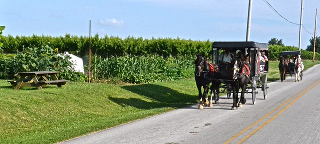 Buggy Tours Lancaster County PA