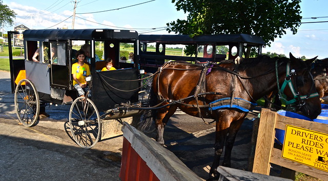 Horse Buggy Tour Lancaster County PA