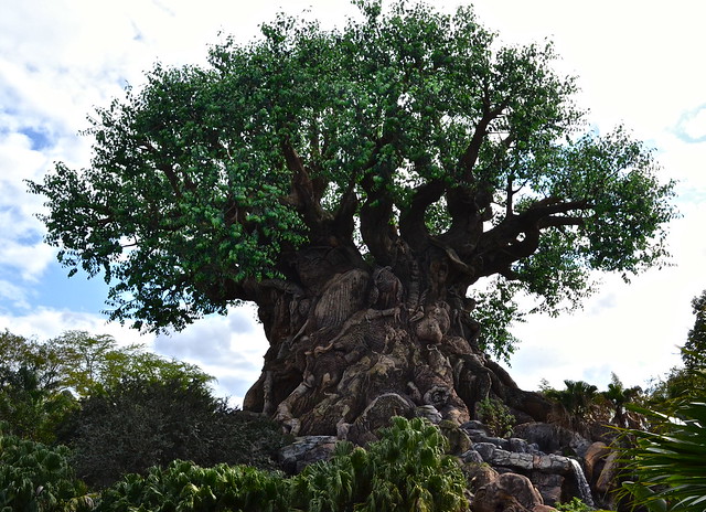 tree of life at the Disney World Information and Facts
