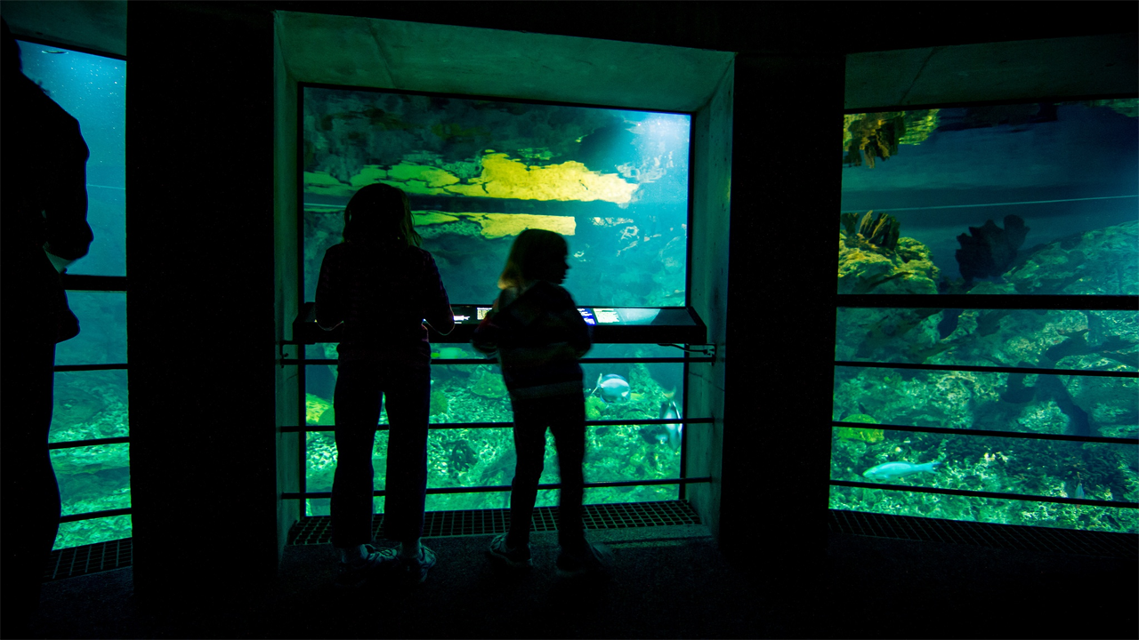 people inside the National Aquarium of Baltimore