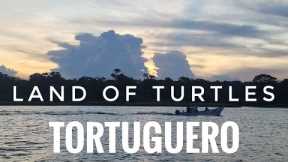 Land of Turtles | 2 Days of River Roads and Caribbean Beaches | Tortuguero, Costa Rica