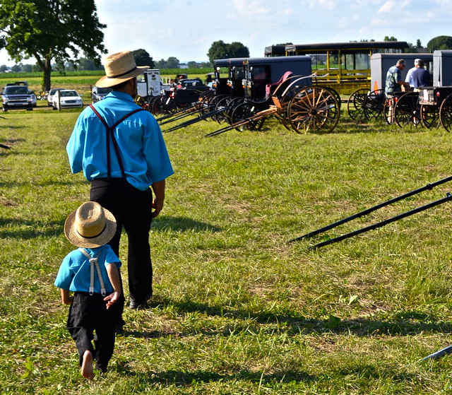 Amish papa and son