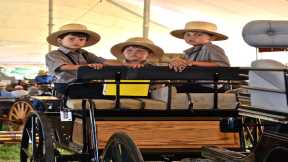 Amish Traditions: Lancaster County Carriage and Antique Auction