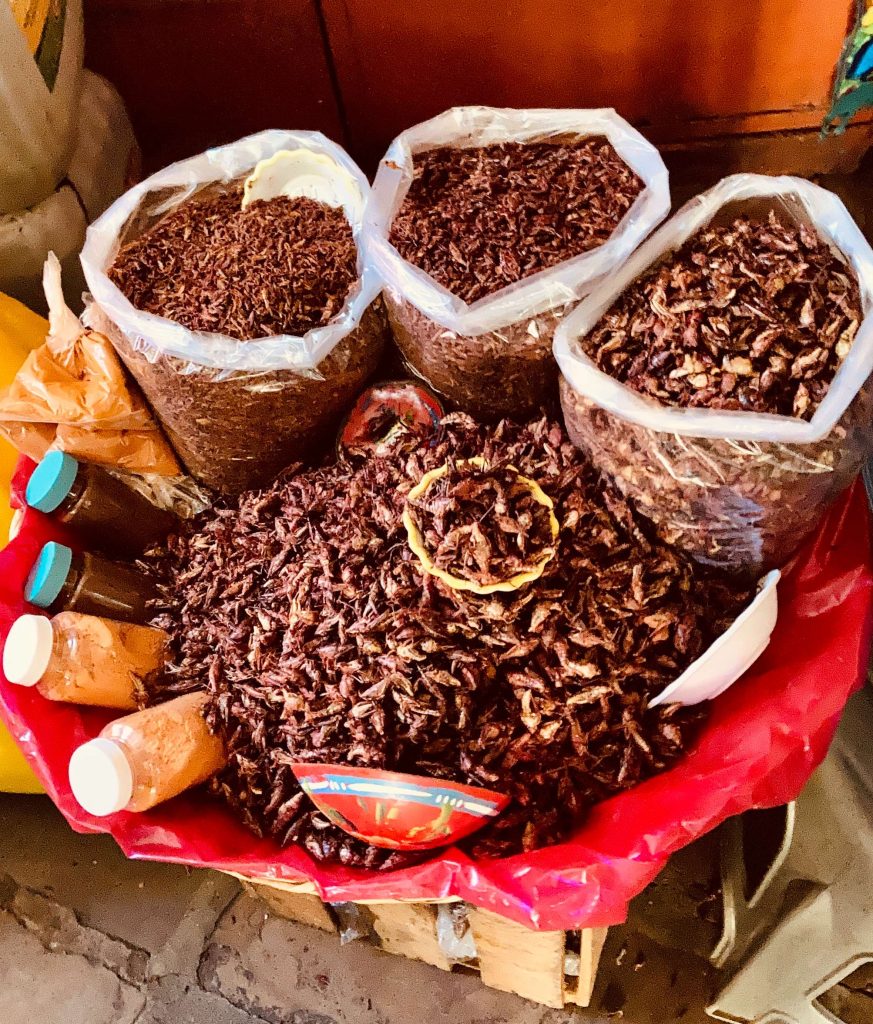 chapulines in oaxaca market
