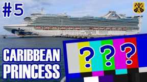 Caribbean Princess Pt.5 - What Happened To The Rest Of The Cruise Vlogs?! - An Unfortunate Ending