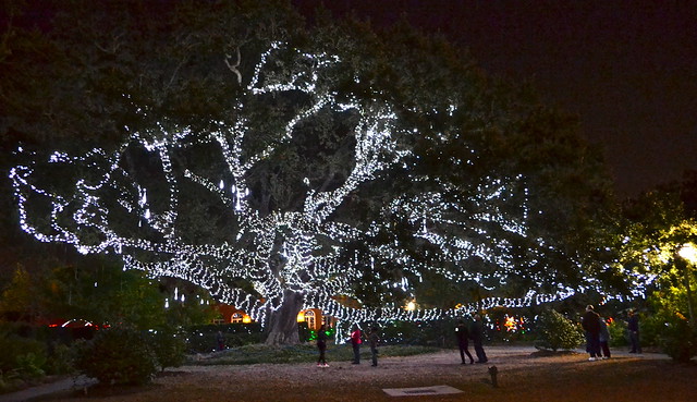 New Orleans City Park: Christmas In The Oaks With Grayline Tours