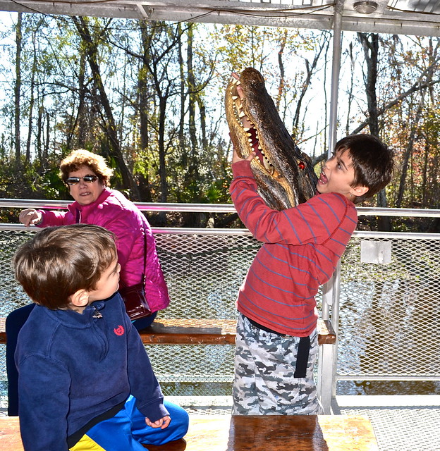 alligator fun - swamp tours new orleans