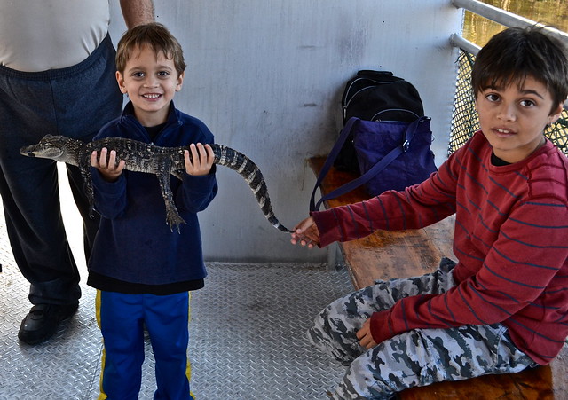 holding a alligator at a swamp tours in new orleans