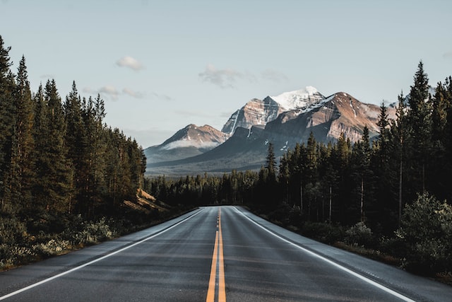 road leading to canadian rockies