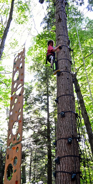 kid climbing a tree arbortrek canopy adventures 