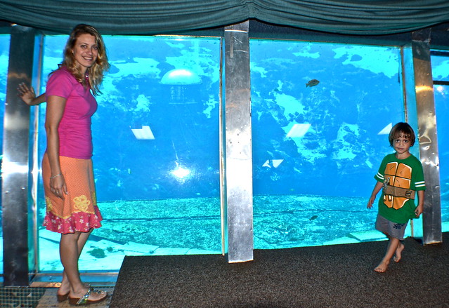 Weeki Wachee underwater mermaid theater