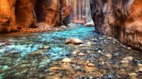 Visiting Zion National Park? The Post-Pandemic Considerations You Should Make