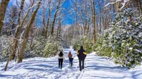 10 Best Places To Visit In North Carolina This Winter