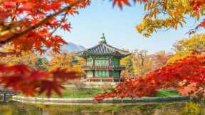 Essential Travel Tips for Your Journey to Korea