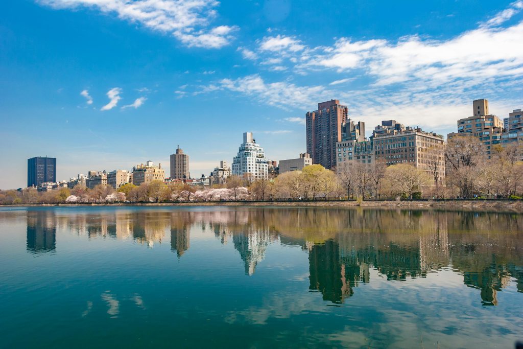 A Local's Guide To The Best Views In New York City