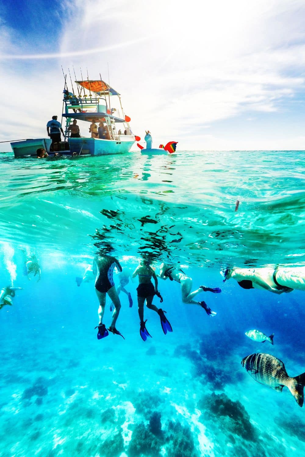snorkeling in the caribbean