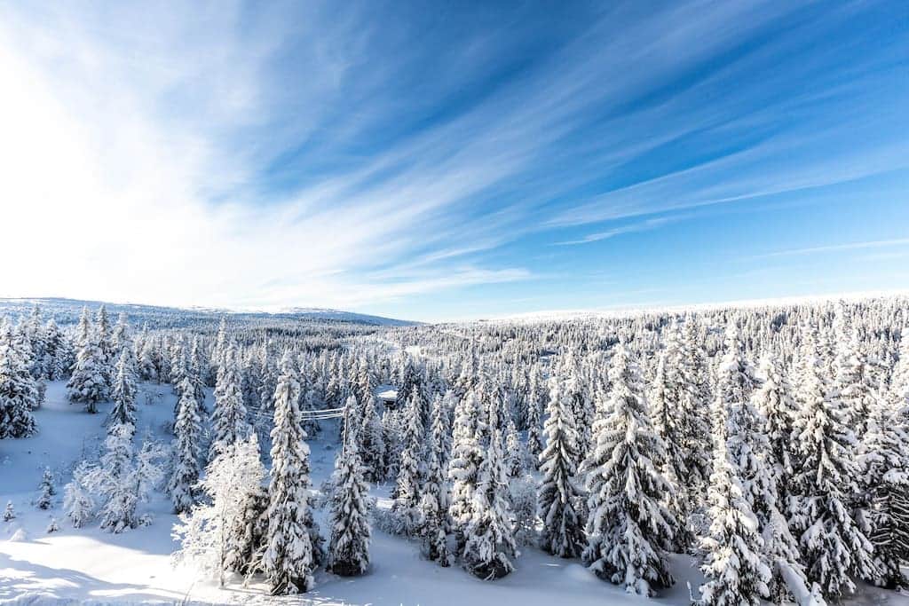 Discovering the Pinnacle of Winter Luxury: Your Ultimate Guide to Sälen's Finest Ski Lodge