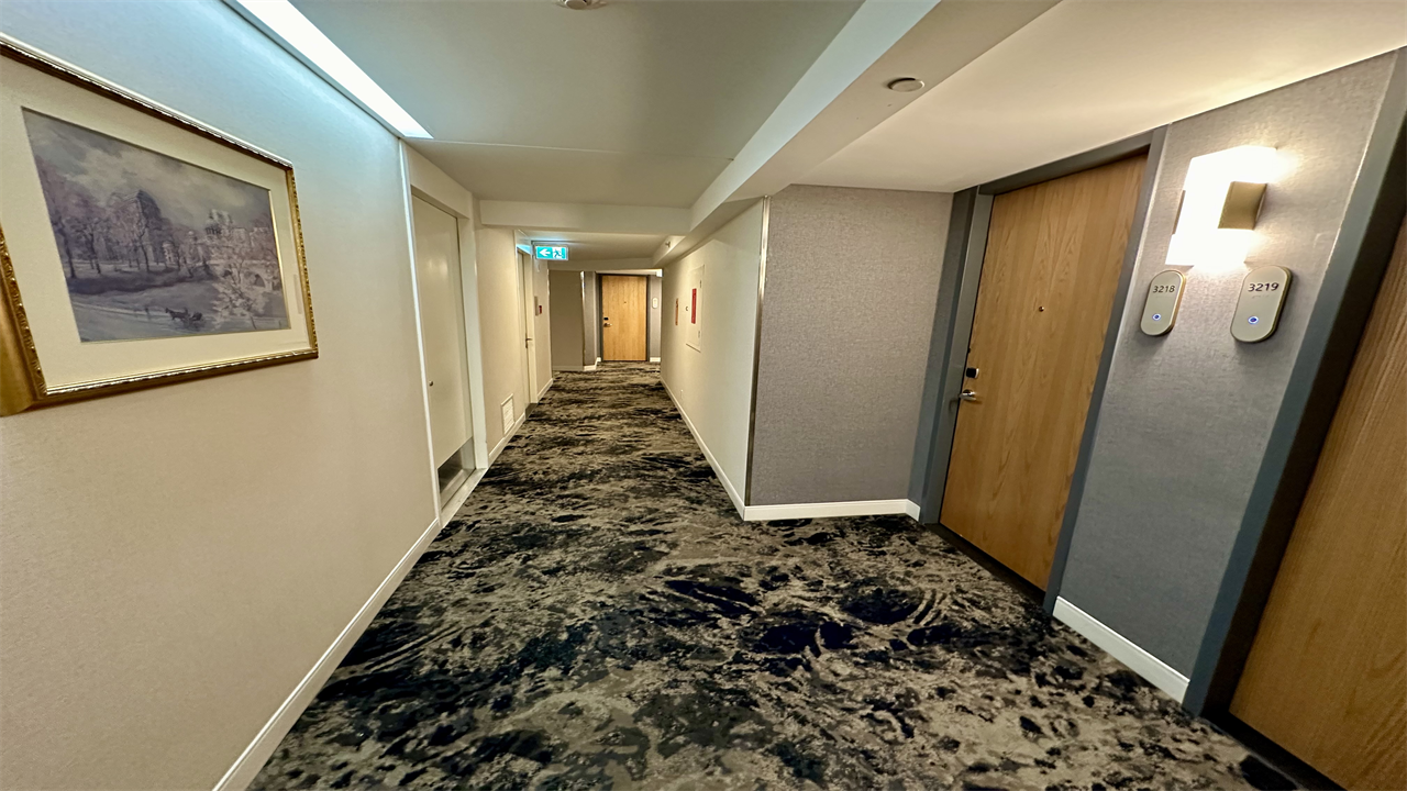 a hallway with a carpeted floor and doors