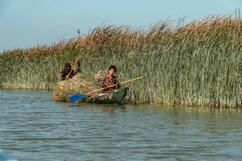 Mesopotamian Marshes