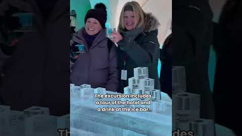 Would you step inside this epic igloo hotel? #norway  #arctic #excursion  #igloohotel  #icehotel